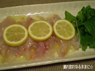 石鯛のカルパッチョ 連れ釣れなるままに