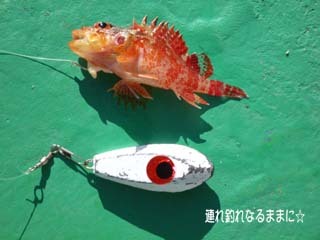 0432 おこぜ.jpg