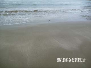 0568 お気に入り浜.jpg