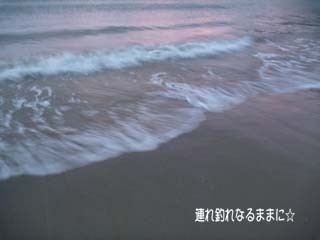 0570 浜.jpg
