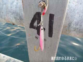 0690 sNVo[.jpg