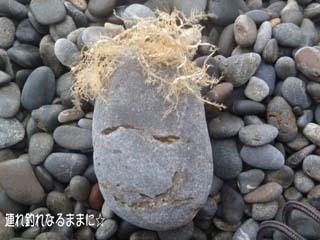 0705 なんだかなぁ.jpg
