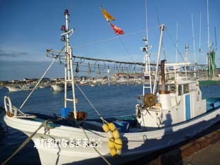 0761 R{D.jpg