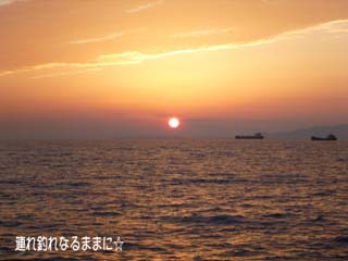 0771 夕陽.jpg