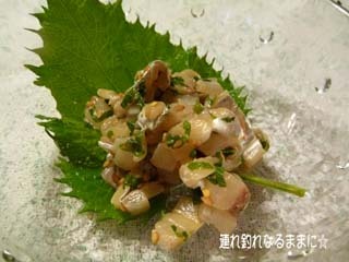 0775 刺身.jpg