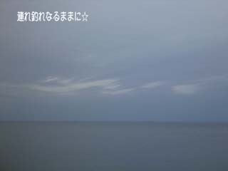 0869 なぎ.jpg