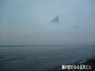 0890 一級P.jpg