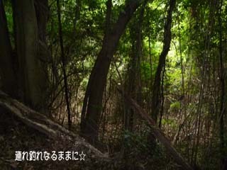 0892 一級P.jpg