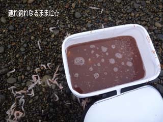 0895 餌入.jpg