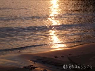 0963 夕陽.jpg