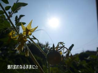 0968 ~jg}g.jpg