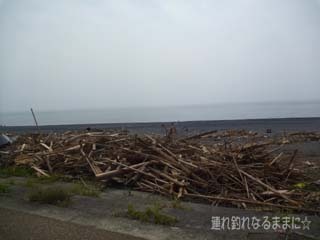 0982 浜.jpg