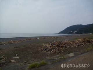0983 浜.jpg
